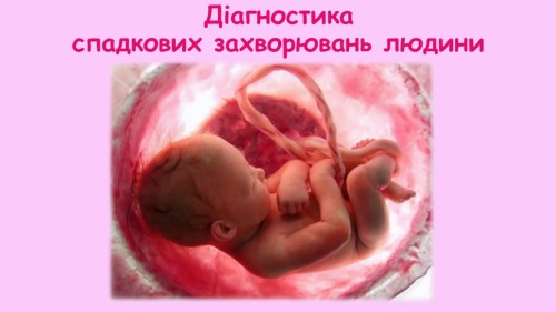 Відеотека