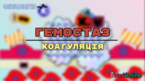 Відеотека
