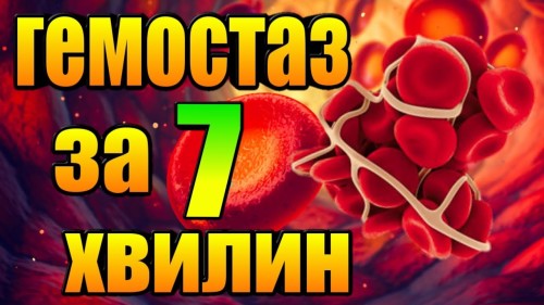 Відеотека