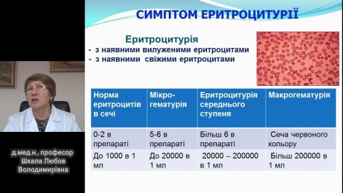 Відеотека