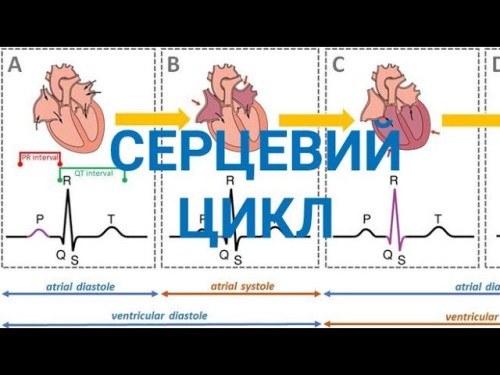 Відеотека