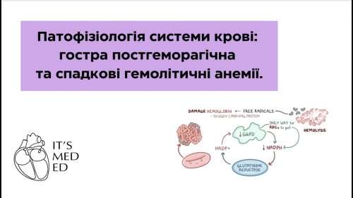 Відеотека