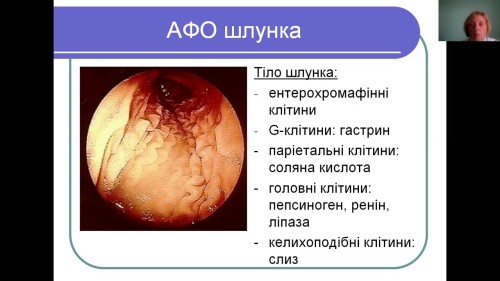 Відеотека