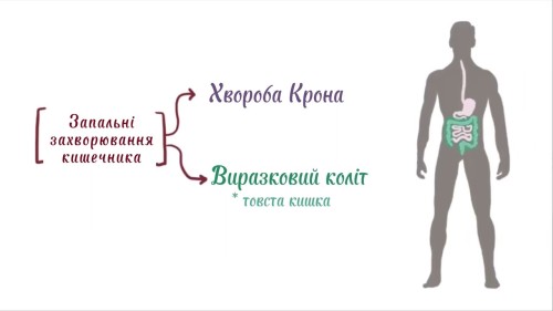 Відеотека