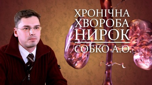 Відеотека
