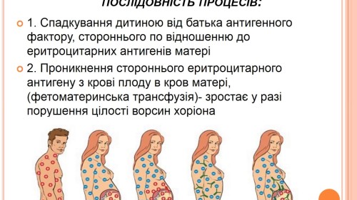 Відеотека